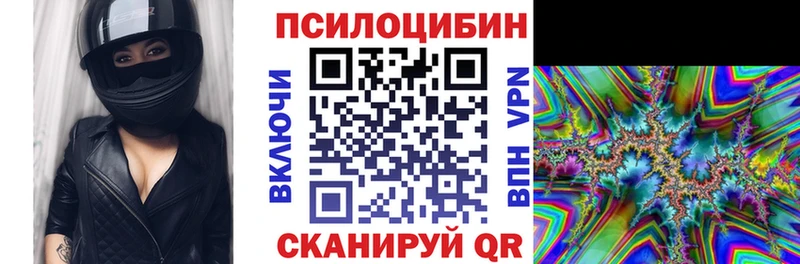 площадка телеграм  KRAKEN вход  Углегорск  Псилоцибиновые грибы мицелий 